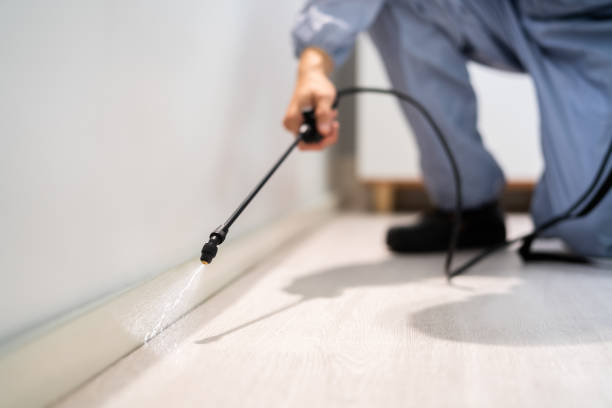 Licensed Ant Control service in Hudson, FL - Show Me Pest Control