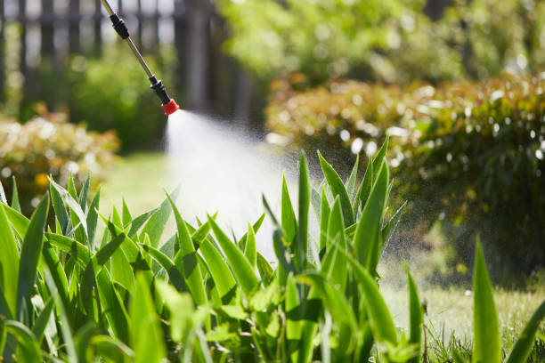 24/7 Emergency Ant Control experts in Hudson, FL