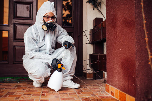 Reliable Ant Control contractor in Hudson, FL by Show Me Pest Control